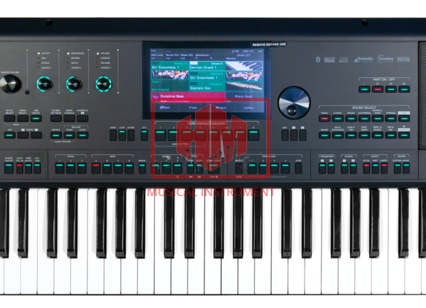 ĐÀN ORGAN KURTZMAN SV800 